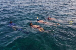four people snorkeling at the surface